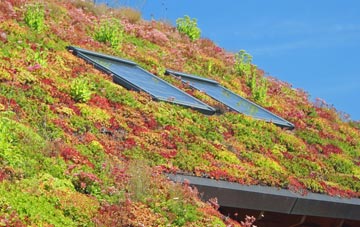 Saundby living roof systems