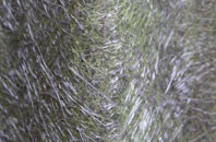 Saundby fibreglass roof work